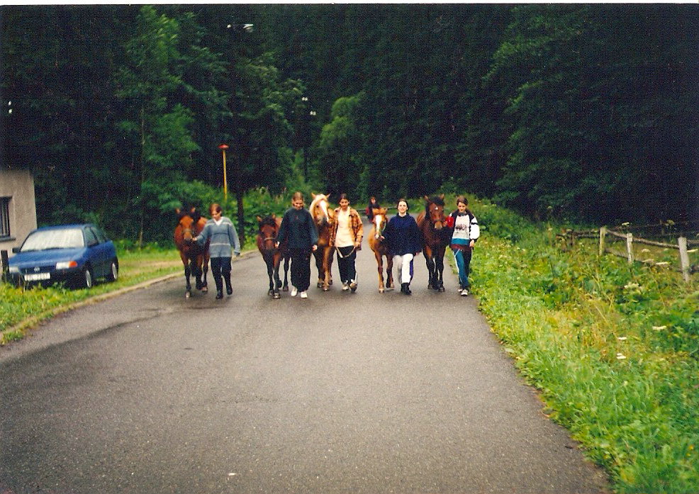ScannedImage-9.jpg