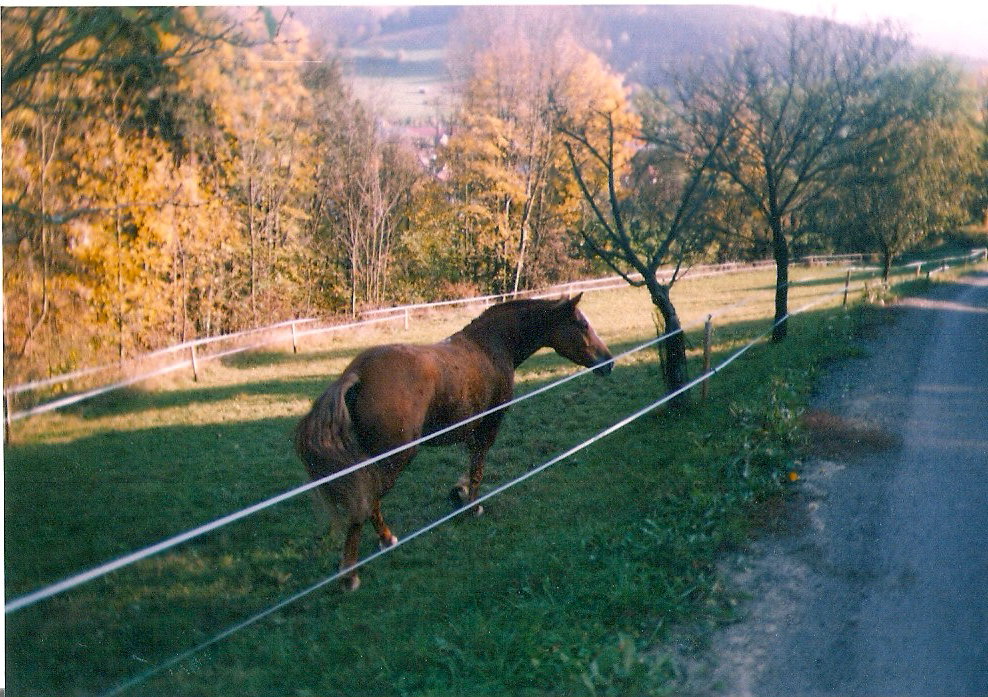 ScannedImage-2.jpg