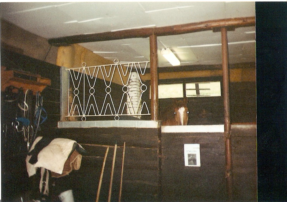 skenovat0003.jpg