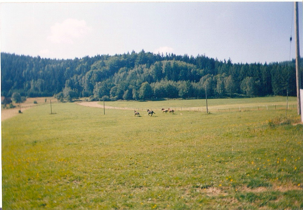 skenovat0004.jpg