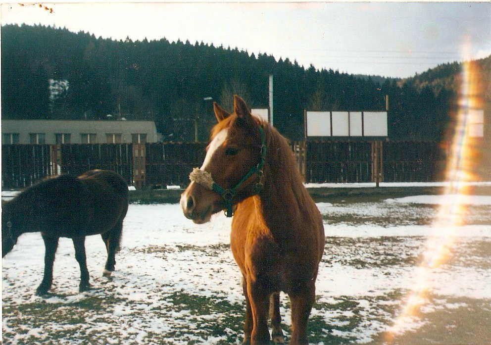ScannedImage-11.jpg