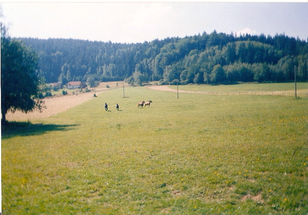 kopie_-_skenovat0005.jpg